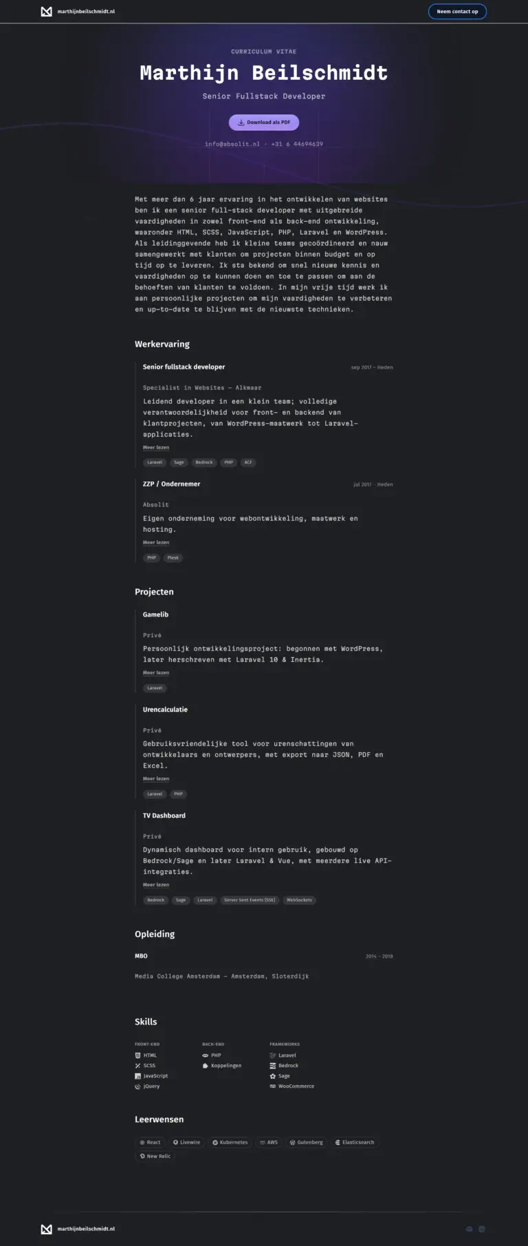 Het cv zoals het portfolio het genereert, op een breed scherm.